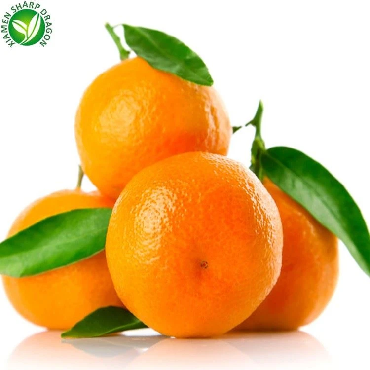 Picking fresh oranges
