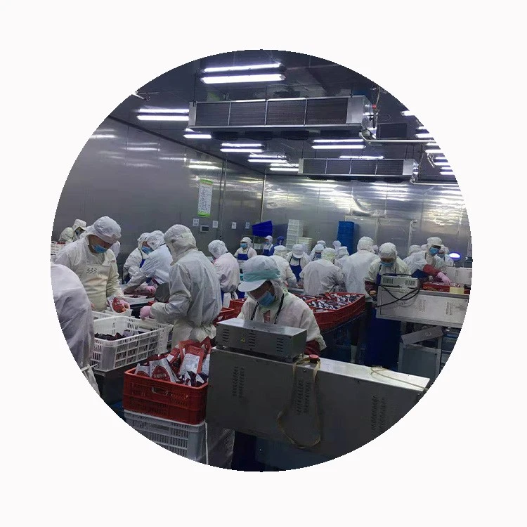 frozen waxberry supplier frozen waxberry supplier