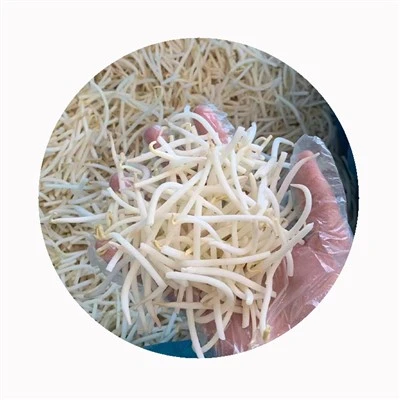 XMSD Frozen Bean Sprouts