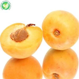 Apricot lag luam wholesale nqe