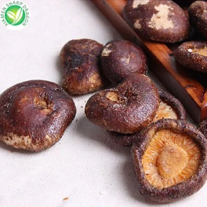 Qhuav Shiitake Mushroom Snack