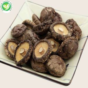 Qaug Taub Shiitake Qij Loj