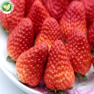 Frozen Me Strawberry Nqe Ib Kg