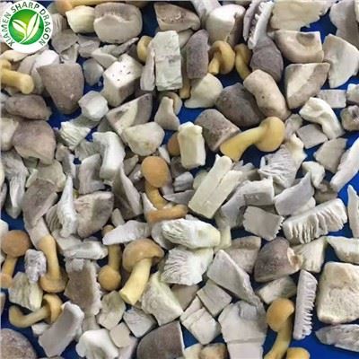 Mixed Mushroom Quick-frozen Bulk