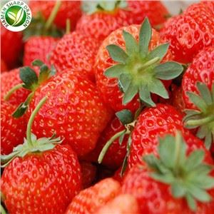 Kev cog qoob loo Strawberry Ntawm Ib Leeg