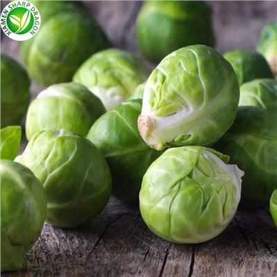 IQF Brussels Sprout