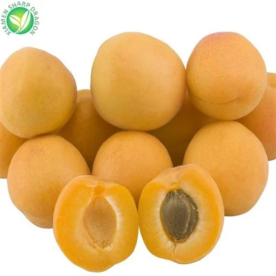 Apricot nqi ib phaus