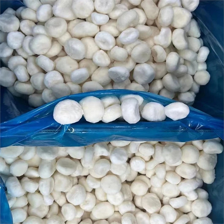 Water Chestnuts Diced